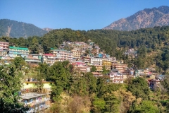 gallery_dharamshala_1