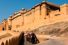 jaipur_amerfort_elephant